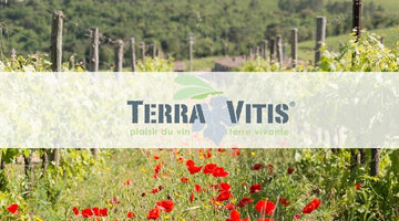 What is TERRA VITIS?