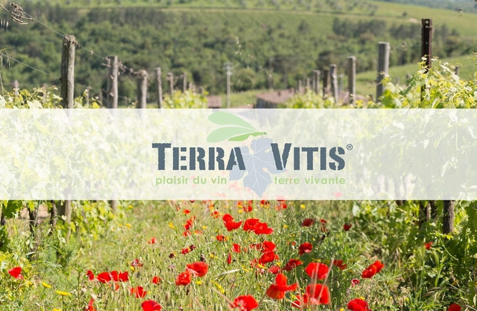 What is TERRA VITIS?